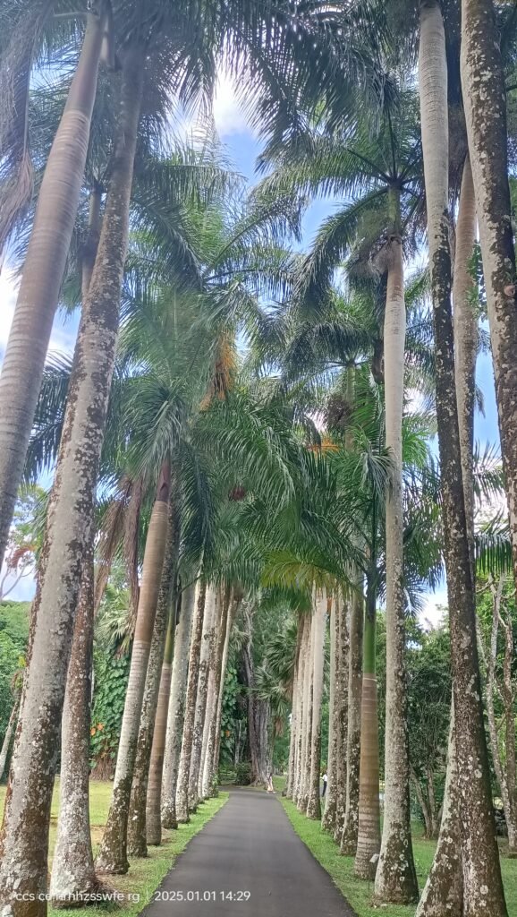 île Maurice vacances